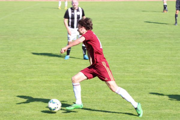 RFC CaliforniaRabbits Fruehling2015 1